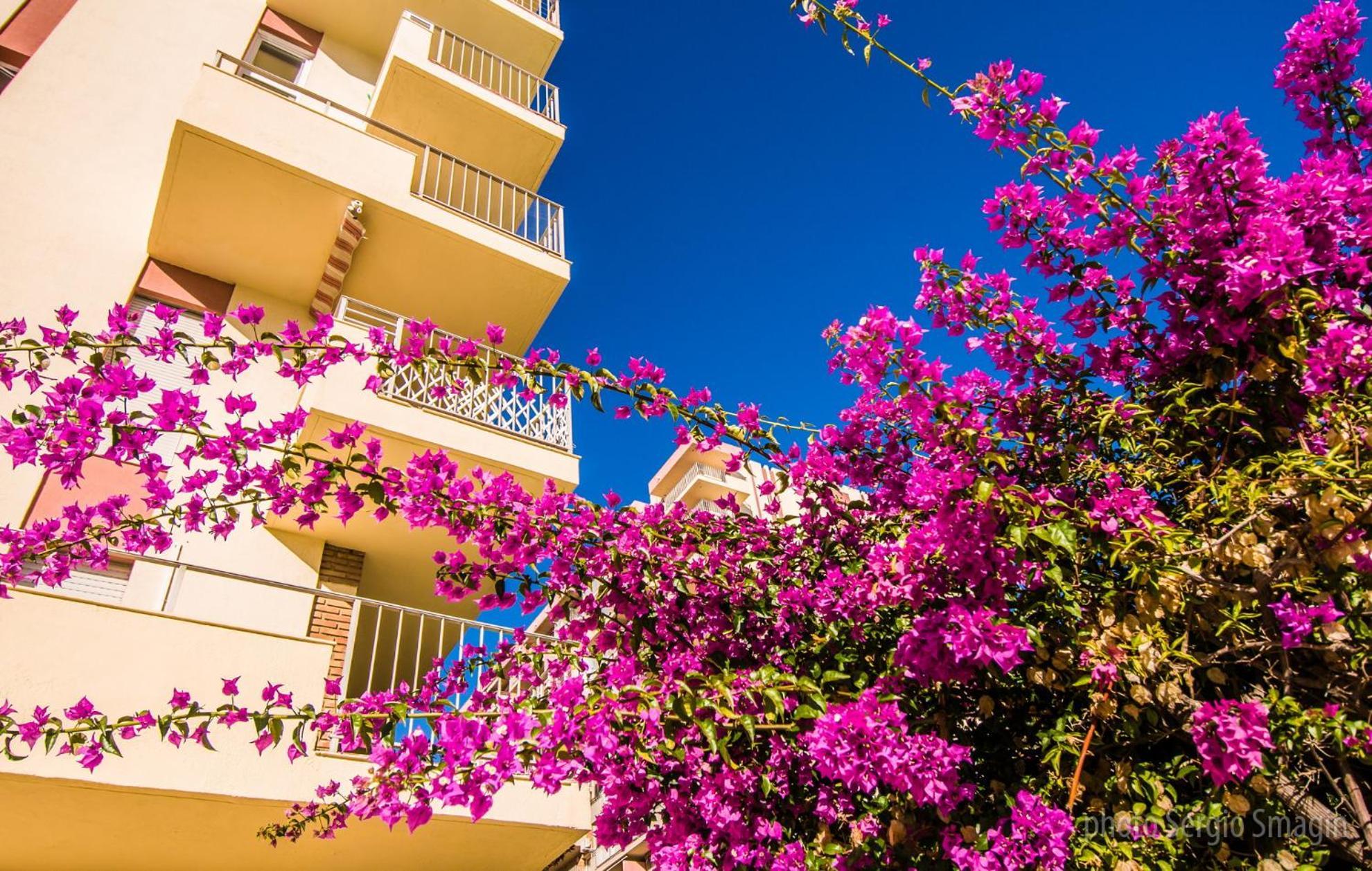 בנאלמדנה 426 Estudio En Minerva Apartamentos - Vista Al Jardin - Piscina Y Playa מראה חיצוני תמונה