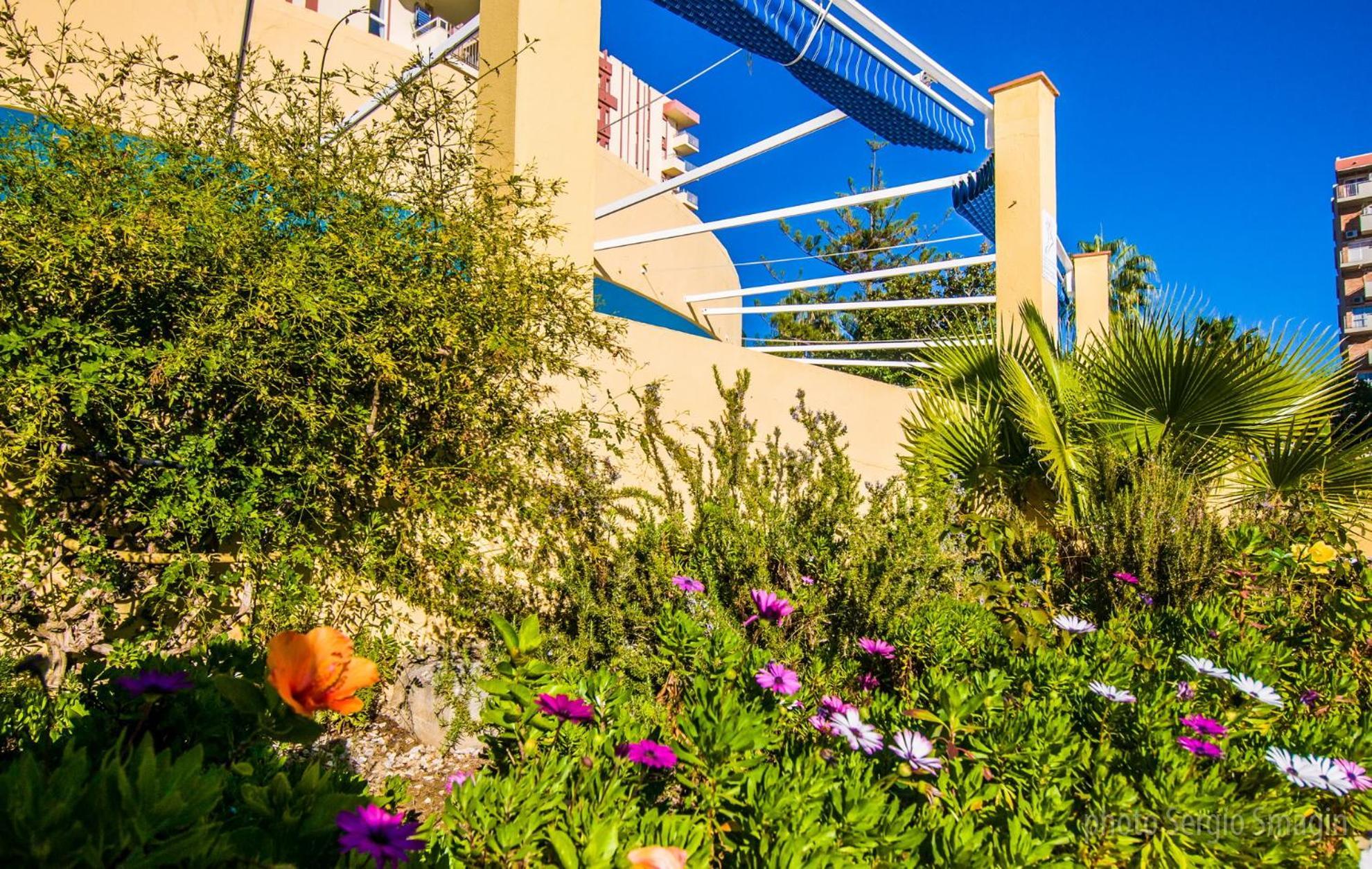 בנאלמדנה 426 Estudio En Minerva Apartamentos - Vista Al Jardin - Piscina Y Playa מראה חיצוני תמונה