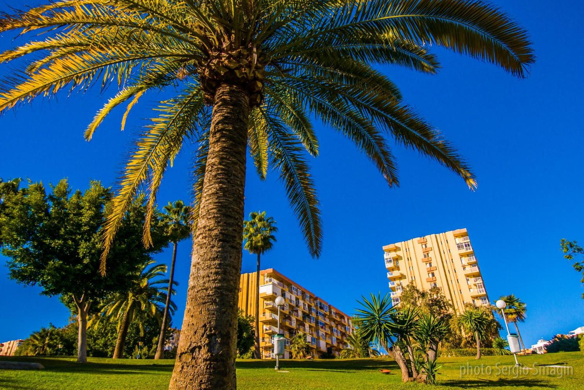 בנאלמדנה 426 Estudio En Minerva Apartamentos - Vista Al Jardin - Piscina Y Playa מראה חיצוני תמונה