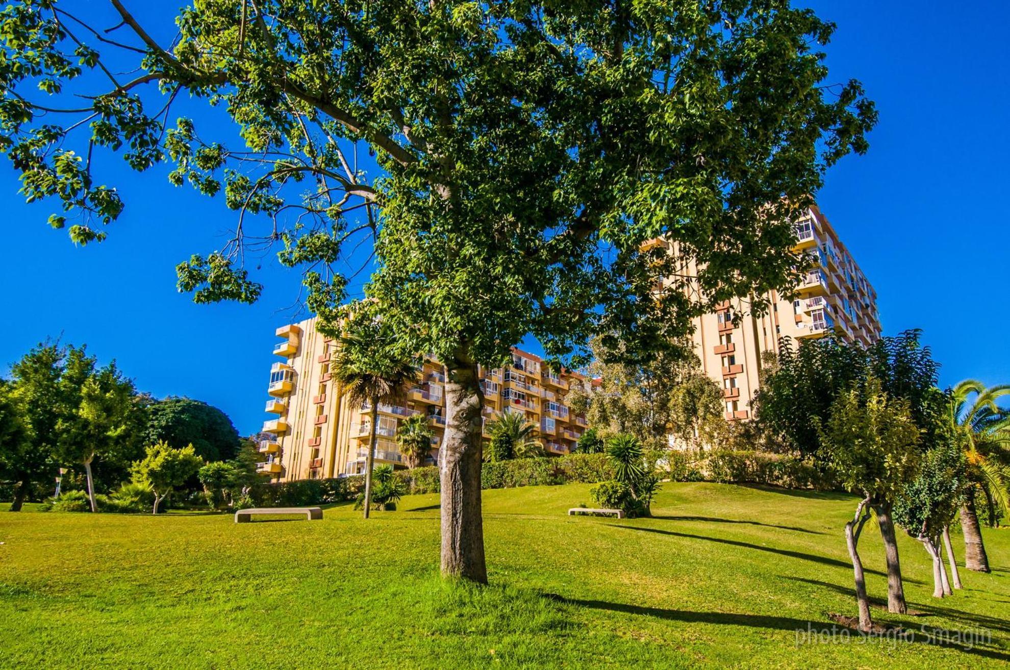 בנאלמדנה 426 Estudio En Minerva Apartamentos - Vista Al Jardin - Piscina Y Playa מראה חיצוני תמונה